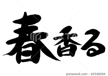 Brush brush spring 60586094