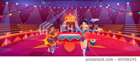 Circus show with animal handler and bear on bike Circus show with animal handler and bear on bike 60586245