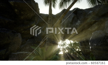 Big Palms in Stone Cave with Rays of Sunlight 60587161