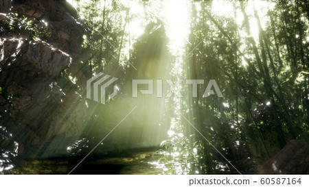 Lush green leaves of bamboo near the shore of a 60587164