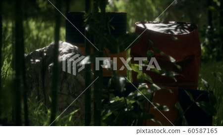 Rusty barrels in green forest 60587165