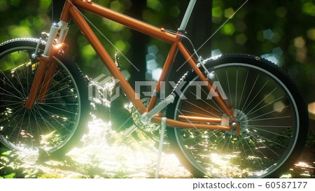 Mountain bike on the forest path Mountain bike on the forest path 60587177