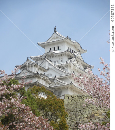 Himeji Castle and Sakura 009 Himeji Castle and Sakura 009 60587351
