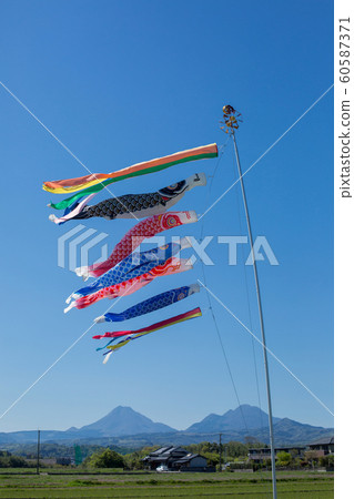 Carp streamer 60587371