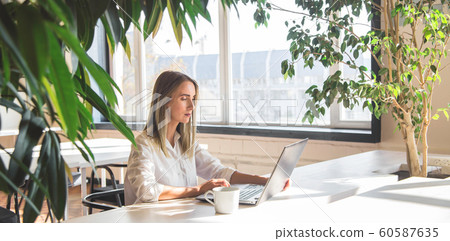 Beautiful caucasian girl working on a laptop Beautiful caucasian girl working on a laptop 60587635