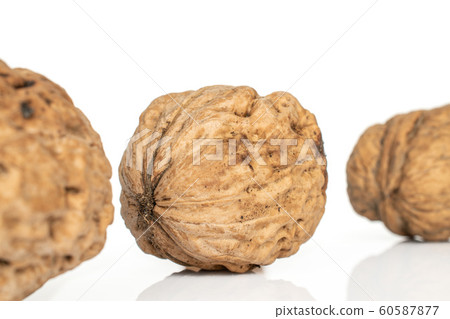 Fresh brown walnut isolated on white 60587877