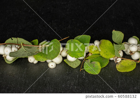 White winter snowberry on grey stone 60588132