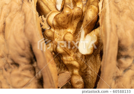 Fresh brown walnut isolated on white 60588133