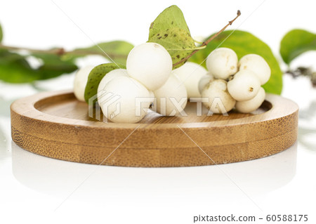 White winter snowberry isolated on white White winter snowberry isolated on white 60588175