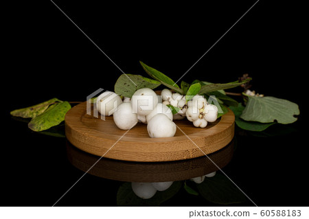 White winter snowberry isolated on black glass White winter snowberry isolated on black glass 60588183