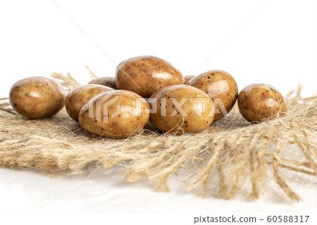 Tiramisu almond nut isolated on white Tiramisu almond nut isolated on white 60588317
