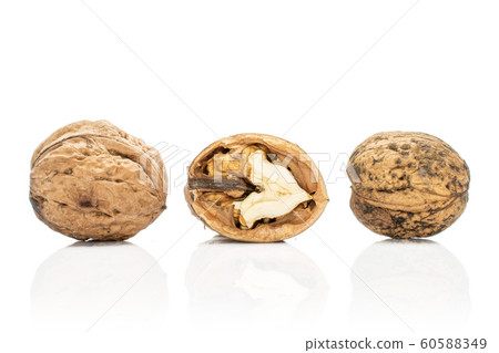 Fresh brown walnut isolated on white Fresh brown walnut isolated on white 60588349