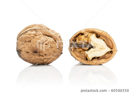 Fresh brown walnut isolated on white Fresh brown walnut isolated on white 60588350