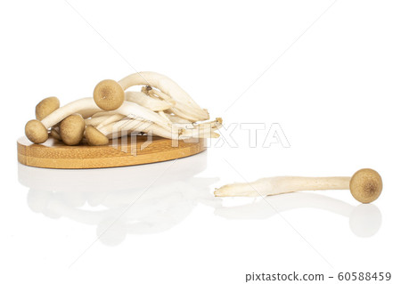 Brown shimeji mushroom isolated on white Brown shimeji mushroom isolated on white 60588459