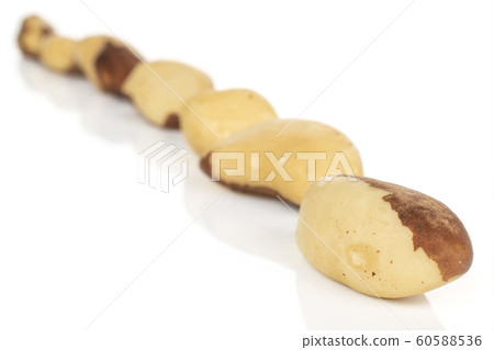 Brown brazil nut isolated on white 60588536