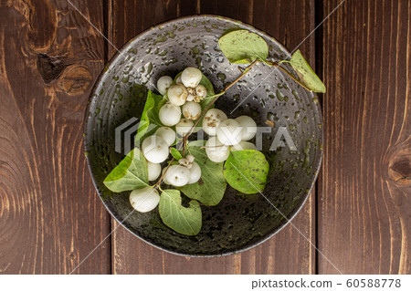 White winter snowberry on brown wood 60588778
