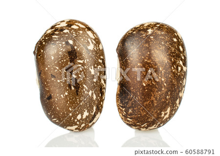 Brown speckled bean isolated on white Brown speckled bean isolated on white 60588791