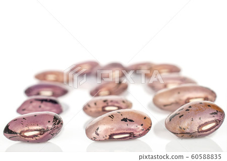 Pinto speckled bean isolated on white Pinto speckled bean isolated on white 60588835