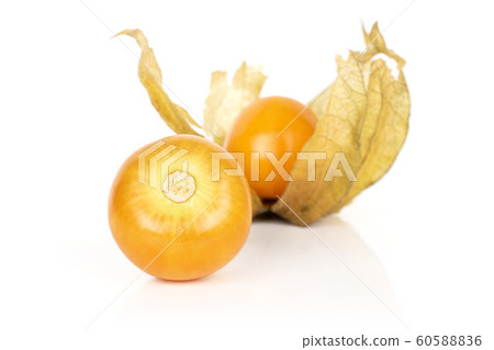 Fresh orange physalis isolated on white Fresh orange physalis isolated on white 60588836