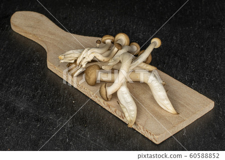 Brown shimeji mushroom on grey stone Brown shimeji mushroom on grey stone 60588852