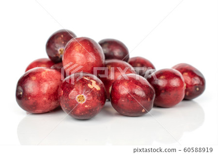 Fresh red cranberry isolated on white Fresh red cranberry isolated on white 60588919