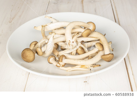 Brown shimeji mushroom on grey wood Brown shimeji mushroom on grey wood 60588938