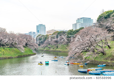 Visitors enjoying the scenario surrounded by Visitors enjoying the scenario surrounded by 60588996