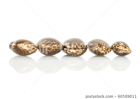 Brown speckled bean isolated on white Brown speckled bean isolated on white 60589011
