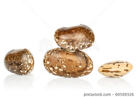 Brown speckled bean isolated on white 60589326