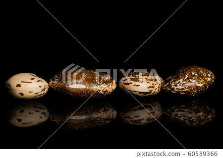 Brown speckled bean isolated on black glass Brown speckled bean isolated on black glass 60589366