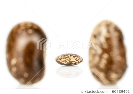 Brown speckled bean isolated on white Brown speckled bean isolated on white 60589401
