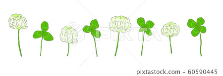 White clover and clover 60590445