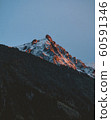 Mountain peaks in Chamonix-Mont-Blanc. France. French alps, beautiful trees. National park. 60591346