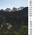 Mountain peaks in Chamonix-Mont-Blanc. France. French alps, beautiful trees. National park. 60591396