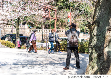 CHIYODA, TOKYO PREFECTURE, JAPAN - March 27, 2019 CHIYODA, TOKYO PREFECTURE, JAPAN - March 27, 2019 60591596