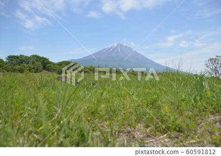 Grassland and Mount Fuji (Asagiri Plateau / Fujinomiya City, Shizuoka Prefecture) Grassland and Mount Fuji (Asagiri Plateau / Fujinomiya City, Shizuoka Prefecture) 60591812