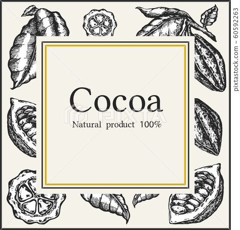 Cocoa bean tree design template. Engraved style illustration. Chocolate cocoa beans. Vector illustration. 60592263