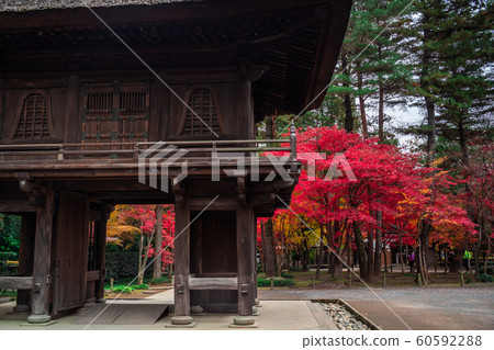 Hirarinji Temple in the fall of Saitama 60592288