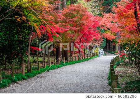 of玉淪陷的平良寺 60592296