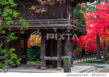 Hirarinji Temple in the fall of Saitama Hirarinji Temple in the fall of Saitama 60592315