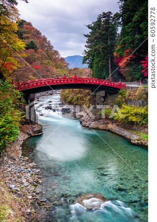 chi木日光神橋和秋天的落葉 60592778