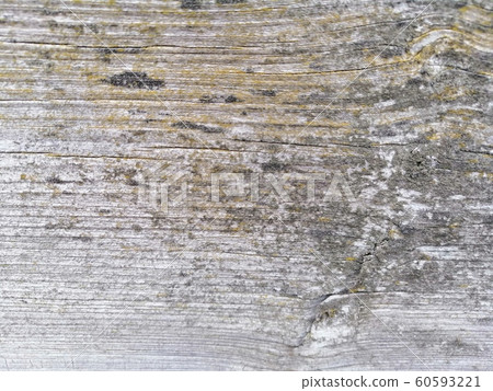 Wood background texture with knots and holes. 60593221