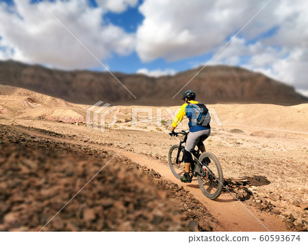 Mountain Bicyclist in Desert Mountain Bicyclist in Desert 60593674