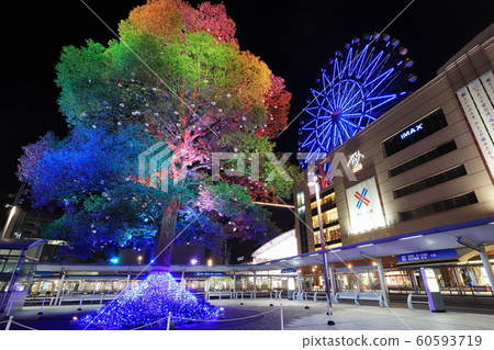 Amu Plaza Kagoshima "Amulan" winter night view 60593719