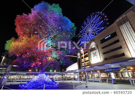 Amu Plaza Kagoshima "Amulan" winter night view 60593720