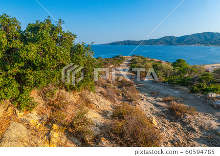 Road to the sea and green trees in Greece 60594785