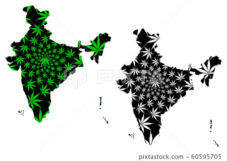 India - map is designed cannabis leaf 60595705
