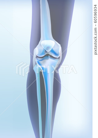 Light blue transparent view of bones the of knee 60596934