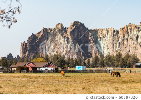 Smith Rock in the background of a meadow with grazing horses 60597320