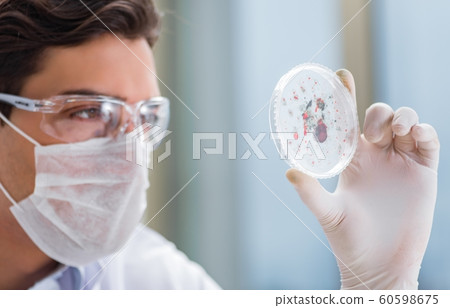 Male doctor working in the lab on virus vaccine 60598675